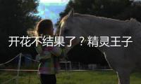 開花不結(jié)果了？精靈王子和水果姐突然宣布分手
