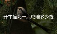 開車撞死一只雞賠多少錢（撞雞賠6000）