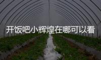開(kāi)飯吧小輝煌在哪可以看（開(kāi)飯吧小輝煌）