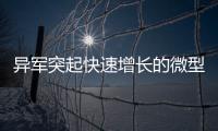 異軍突起快速增長的微型逆變器
