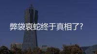 弊袋哀蛇終于真相了?