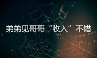 弟弟見哥哥“收入”不錯便跟著去盜竊 最終雙雙被刑拘