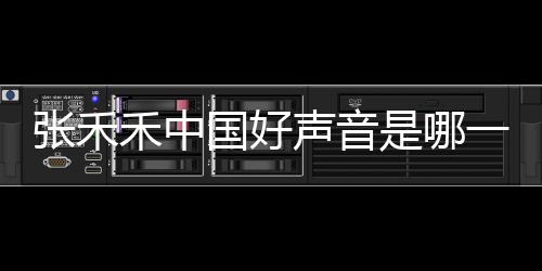 張禾禾中國好聲音是哪一季 張禾禾為什么退出好聲音現狀曝光