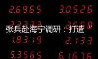 張兵赴海寧調(diào)研：打造“重要窗口”中最精彩板塊的示范表率之區(qū)