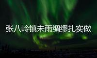 張八嶺鎮(zhèn)未雨綢繆扎實做好防汛備汛工作_