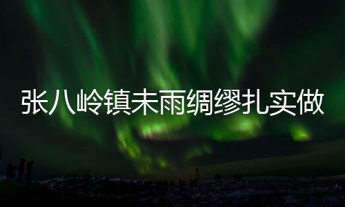 張八嶺鎮未雨綢繆扎實做好防汛備汛工作_