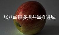 張八嶺鎮多措并舉推進城鄉居民養老保險政策宣傳_