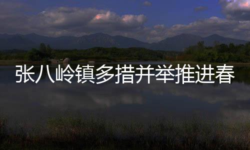 張八嶺鎮多措并舉推進春季農業生產工作_