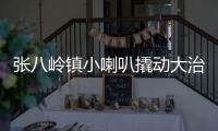 張八嶺鎮(zhèn)小喇叭撬動大治理_