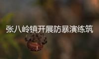 張八嶺鎮(zhèn)開(kāi)展防暴演練筑牢校園安全屏障_