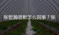 張哲瀚道歉怎么回事？張哲瀚為什么道歉原因揭秘