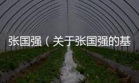 張國強（關于張國強的基本情況說明介紹）