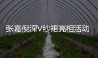 張嘉倪深V紗裙亮相活動 靈動柔美仙女范十足