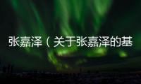 張嘉澤（關(guān)于張嘉澤的基本情況說明介紹）