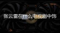 張云雷在什么電視劇中飾演張大雷？