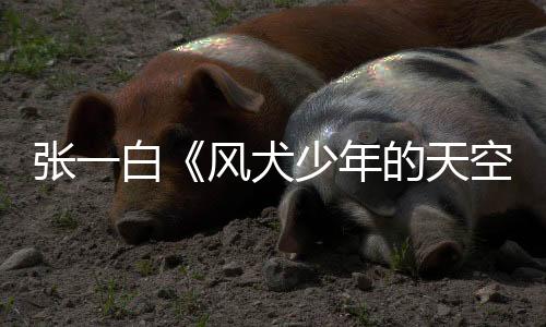 張一白《風(fēng)犬少年的天空》彭昱暢重慶話辭舊迎新