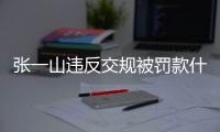 張一山違反交規(guī)被罰款什么情況？張一山違反交規(guī)圖片最新消息