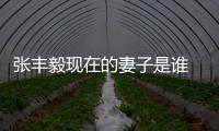張豐毅現在的妻子是誰 對小了十四歲的她只有哄的份