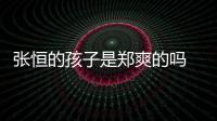 張恒的孩子是鄭爽的嗎 張恒的兩個孩子是誰生的