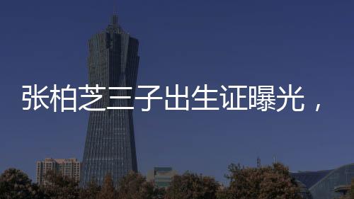 張柏芝三子出生證曝光，生父一欄為啥是星號？
