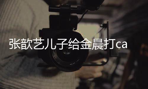 張歆藝兒子給金晨打call怎么回事 張歆藝兒子多大了長什么樣