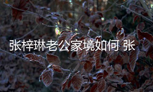 張梓琳老公家境如何 張梓琳與老公是如何相識(shí)相知的