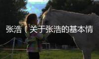 張浩（關于張浩的基本情況說明介紹）