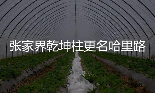 張家界乾坤柱更名哈里路亞山引爭議組圖