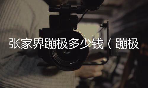張家界蹦極多少錢（蹦極多少錢）