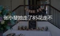 張小斐她走了85花走不了的路