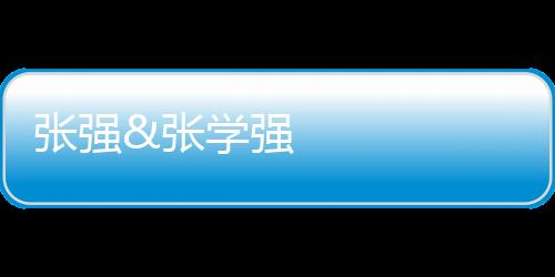 張強&張學強 JACS：基于連續轉化