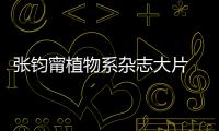 張鈞甯植物系雜志大片 感受春日蓬勃生命