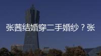 張茜結婚穿二手婚紗？張衛健親手制作頭紗彌補遺憾