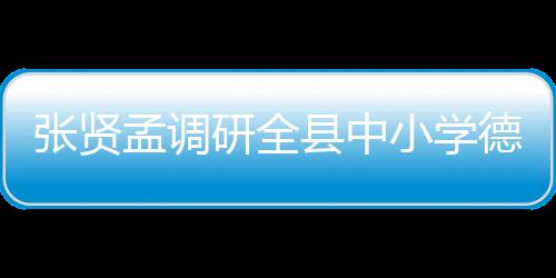 張賢孟調研全縣中小學德育工作