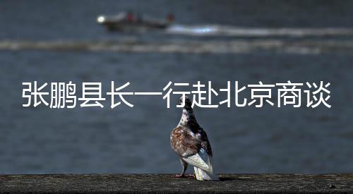 張鵬縣長一行赴北京商談“中國玻璃器皿之都”建設(shè)等事宜,行業(yè)資訊