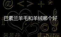 巴素蘭羊毛和羊絨哪個好（羊毛和羊絨哪個好）