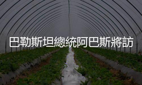 巴勒斯坦總統阿巴斯將訪華