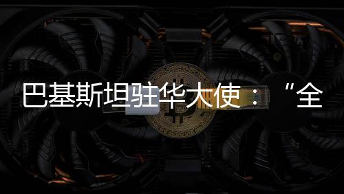 巴基斯坦駐華大使：“全球文明倡議”有利于世界和平