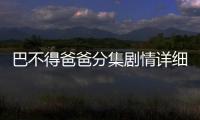 巴不得爸爸分集劇情詳細介紹15