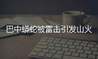 巴中蟒蛇被雷擊引發(fā)山火事件