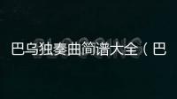 巴烏獨奏曲簡譜大全（巴烏獨奏曲大全）