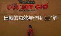 巴戟的功效與作用（了解神奇的巴戟草）