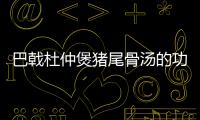 巴戟杜仲煲豬尾骨湯的功效詳解