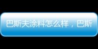 巴斯夫涂料怎么樣，巴斯夫涂料價格介紹
