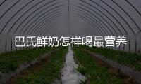 巴氏鮮奶怎樣喝最營養