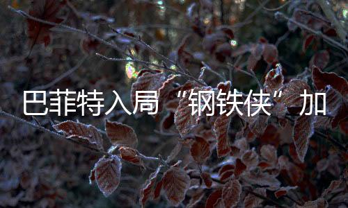 巴菲特入局“鋼鐵俠”加碼 為何同時押寶太陽能,國際動態(tài)