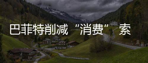巴菲特削減“消費” 索羅斯增持能源