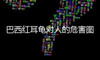 巴西紅耳龜對人的危害圖片（巴西紅耳龜對人的危害）