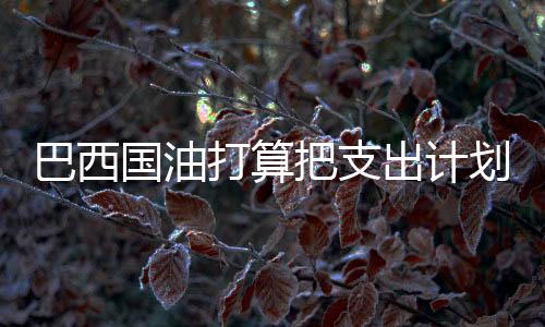 巴西國油打算把支出計(jì)劃增加26%