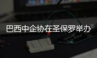 巴西中企協(xié)在圣保羅舉辦“應(yīng)對巴西簽證及勞工合規(guī)挑戰(zhàn)”講座
